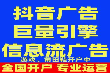 网络推广与竞价广告：双管齐下的策略案例